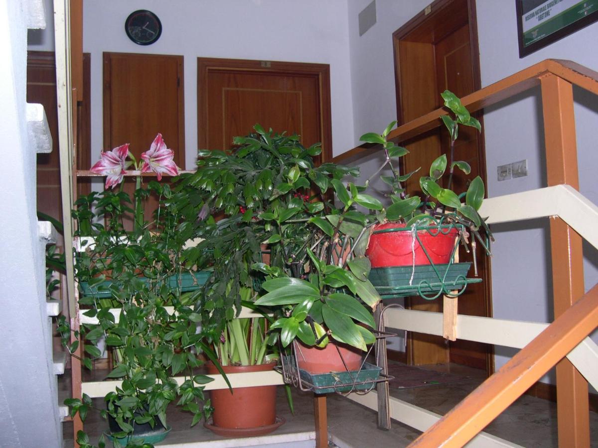 Apartment Mansarda In Montagna *